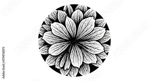 Dramatic black and white floral design creating a striking botanical centerpiece