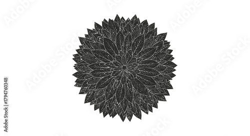 Distressed floral pattern with sharp petals creating a unique artistic texture reminiscent of nature