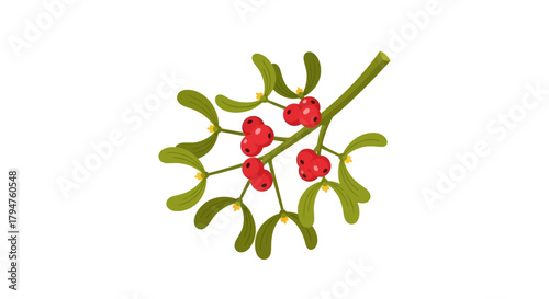 Stylized mistletoe illustration showcasing traditional holiday botanical with bright red berries