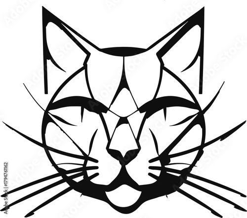 Abstract cat face made from geometric line segments, balancing symmetry and simplicity 2.