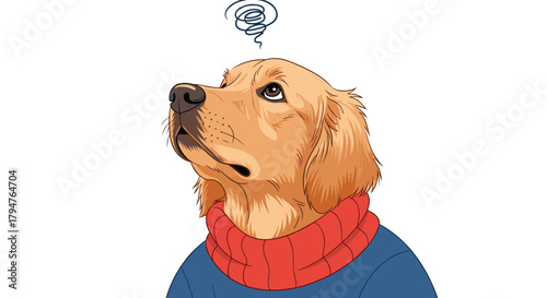 Confused Golden Retriever Wearing a Sweater Looking Upwards