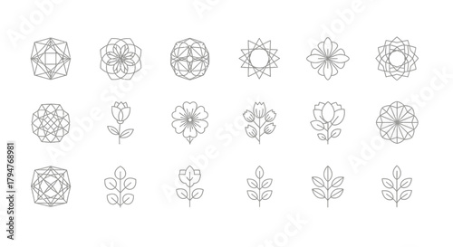 Elegant geometric and floral linear designs offering versatile graphic elements for various