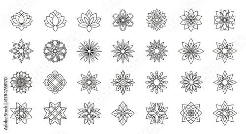 Collection of botanical abstract shapes and decorative flower graphic elements for creative design