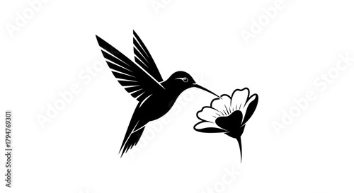 Elegant hummingbird silhouette gracefully seeking nectar from delicate flower illustration