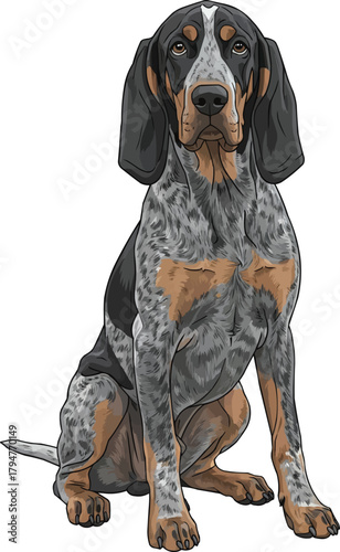 Grand Bleu de Gascogne dog sitting relaxed vector illustration