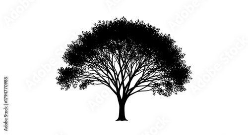 Silhouette of a Majestic Tree: A striking graphic element for design applications and artistic