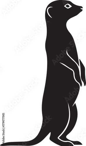 Silhouette of a standing meerkat a small mammal known for its social behavior and vigilance in its natural habitat