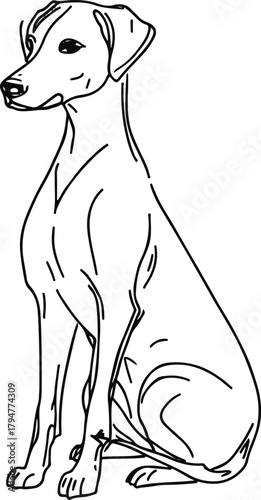 Continuous single-line drawing of a dog sitting calmly with flowing elegant curves, minimal modern vector style, black and white 3