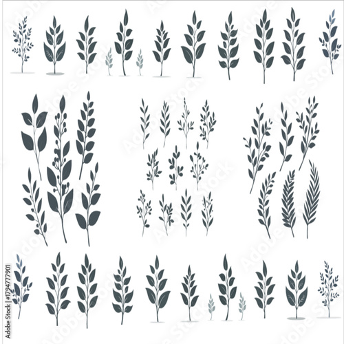 Minimal feminine botanical floral branch