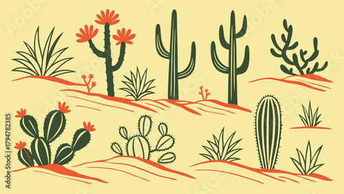 Desert Cacti and Succulent Plants Illustration Set. Arid Southwest Flora for Web Design, Nature Education, Travel, Summer Branding, Game Assets