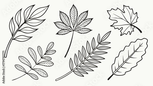 Hand Drawn Botanical Line Art Leaves Collection for Nature Inspired Graphic Design Eco Friendly Branding and Web Print Projects Simple Outline Foliage Elements