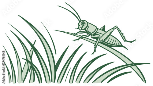 Cricket Insect Perching on Green Grass Illustration. Summer Wildlife Nature Graphic for Educational Content and Outdoor Web Design