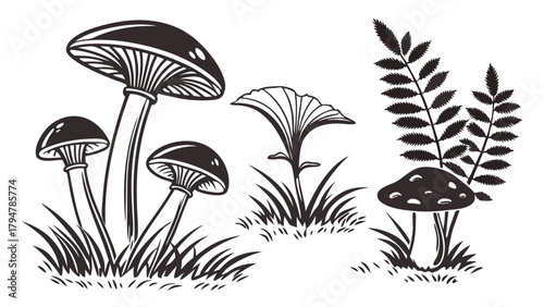 Black and White Outline Botanical Illustration of Wild Woodland Mushrooms Fungi Ferns and Plants for Nature Inspired Design