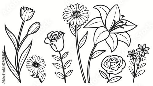 Elegant Line Art Flowers Collection for Graphic Design. Versatile Botanical Illustrations for Web, Print, Branding, and Creative Projects. Delicate Floral Outlines.