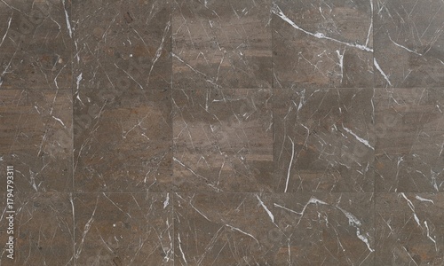 Photos Elegant brown granite tiles with white streaks