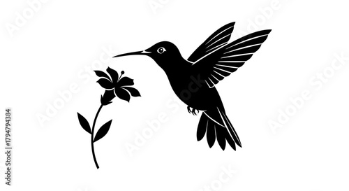 Hummingbird silhouette vector illustration with flower art