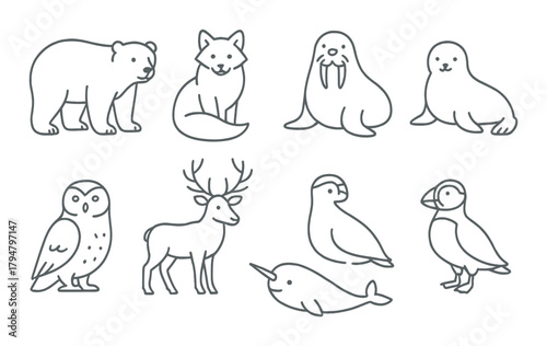 Outline illustration of eight arctic animals on gray background