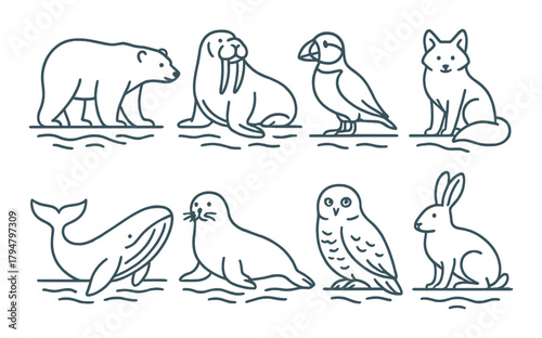 Polar and arctic animals: bear, walrus, puffin, fox, whale, seal, owl, rabbit