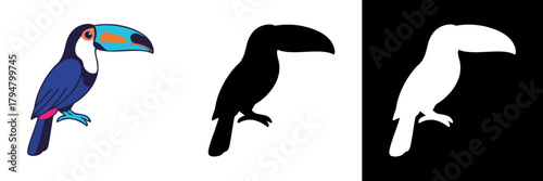 A colorful toucan with a bright orange-and-blue beak perches on a branch, shown in full color, solid black silhouette, and white silhouette on a dark background.