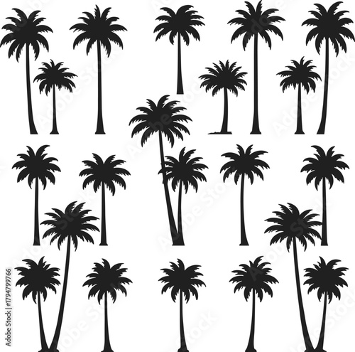 Palm tree silhouettes, tropical foliage grid, beach icons, exotic plants, summer nature shapes, jungle elements, vector palm diversity