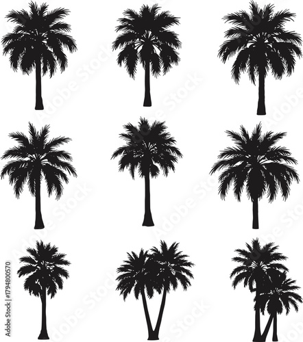 Palm tree silhouettes, tropical foliage grid, beach icons, exotic plants, summer nature shapes, jungle elements, vector palm set