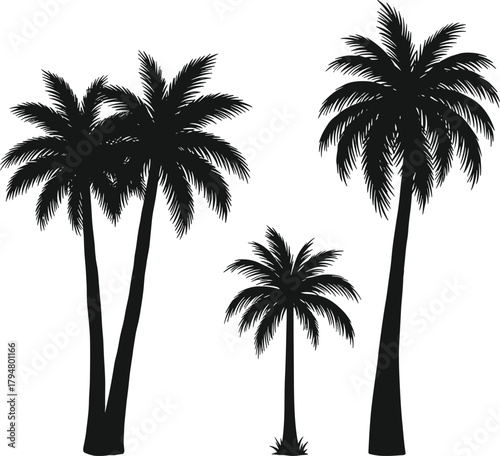 Palm tree silhouettes, tropical foliage group, beach icons, exotic plants, summer nature shapes, jungle elements, vector palm cluster