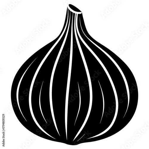 onion isolated on white