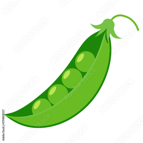 green peas vector illustration