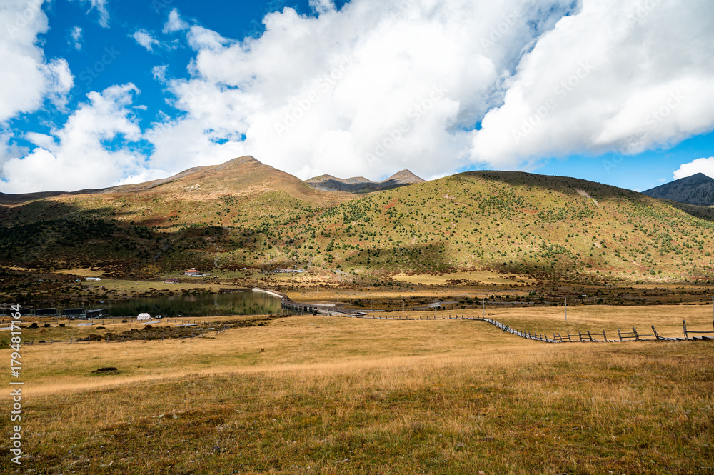 Fototapeta premium The scenery of hills and grasslands on the Qinghai Tibet Plateau under blue sky and white clouds in autumn