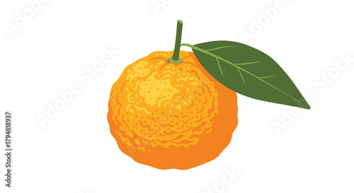 A vibrant textured orange fruit with a green leaf and stem suggesting freshness and natural goodness.