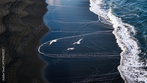 Fototapeta Naklejka Na Ścianę i Meble -  Aerial view of waves crashing on a black sand beach with seagulls flying over it