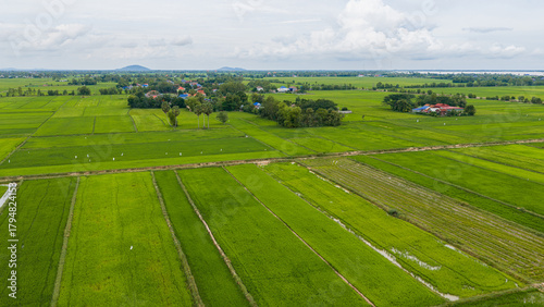 Obraz na plátně Aerial view of a ricefield and villas in Kampot , Cambodia
