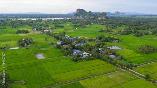 Obraz na plátně Aerial view of a ricefield and villas in Kampot , Cambodia