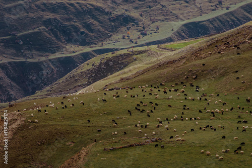 Vast green hillside, dotted with grazing cows and sheeps. The landscape features rolling hills and a serene atmosphere.