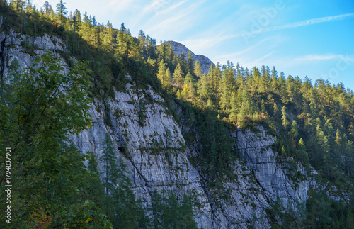 Rocky Austrian Alps at the foot of the Dachstein Glacier, covered with sparse forest and illuminated by the sun from above