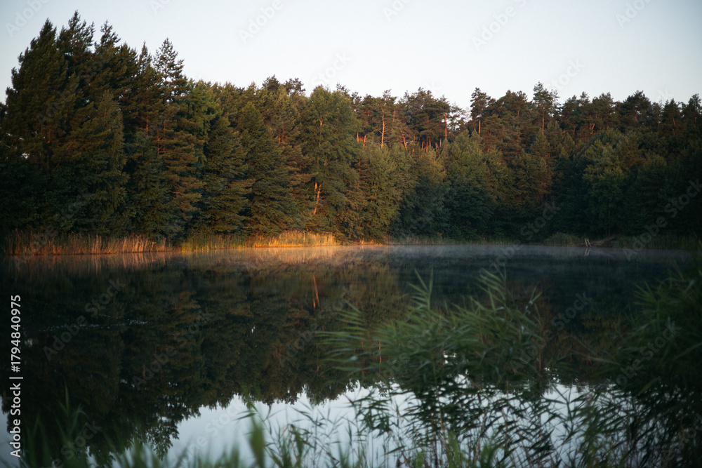 Obraz premium lake in the forest