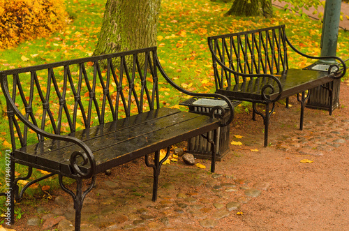 Two Black metal retro benches in an autumn park.
