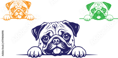 Three colorful pug dog faces peeking over a ledge in a playful graphic design on transparent background