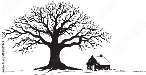 Hand-drawn illustration of a large, old, bare oak tree with intricate branches next to a small rustic wooden cabin