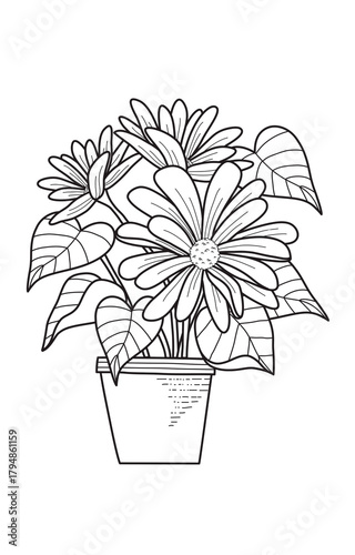 Line art drawing of daisies in a pot for coloring