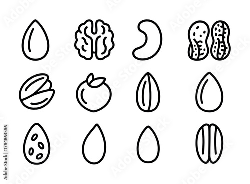 Set of outline icons of various nuts and seeds