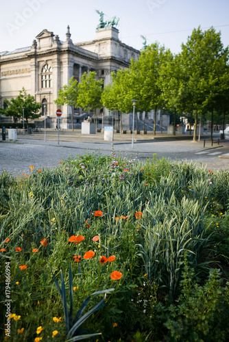 Antwerp south with flowers at the museum bozar 
