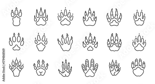 Collection of various animal paw prints in black outline on white background
