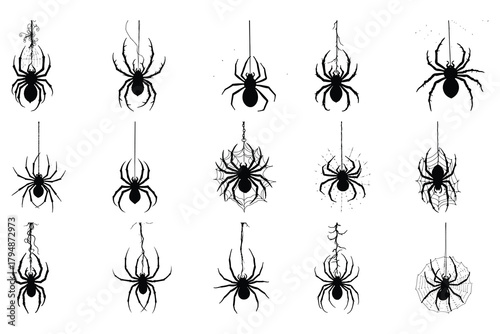 Collection of black spider silhouettes hanging on webs
