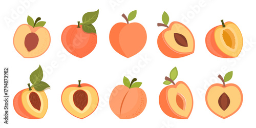 Peach fruit icon set collection in flat style. Apricot vector illustration on isolated background. Nectarine nature snack sign business concept.