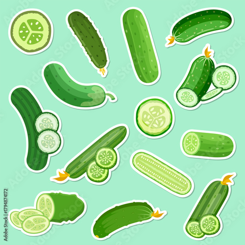 Cucumber vegetable icon set collection in flat style. Gherkin plant sticker vector illustration on isolated background. Healthy food sign business concept.