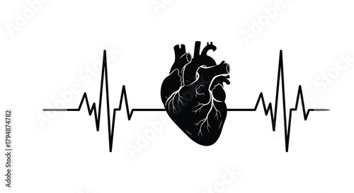 Anatomical heart resting on an electrocardiogram line representing cardiac activity.
