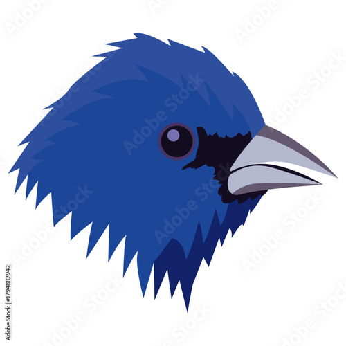 Indigo Bunting beak and head.