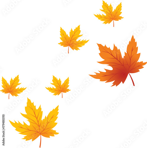  Multicolored autumn leaves in rich red, orange, and yellow hues isolated on a white background. Bright seasonal decor perfect for banners, prints, and fall-themed designs. autumn colored fall leaf te