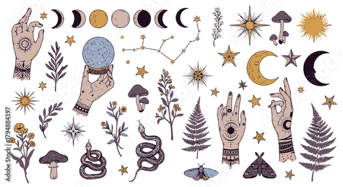 Mystical symbols and illustrations: hands, moon phases, constellations, stars, plants, and snakes.